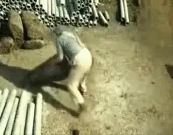 GIF Preview