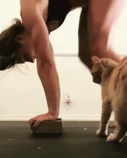 GIF Preview