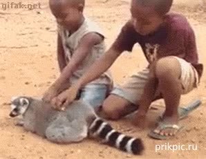 GIF Preview