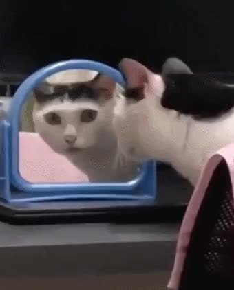 GIF Preview