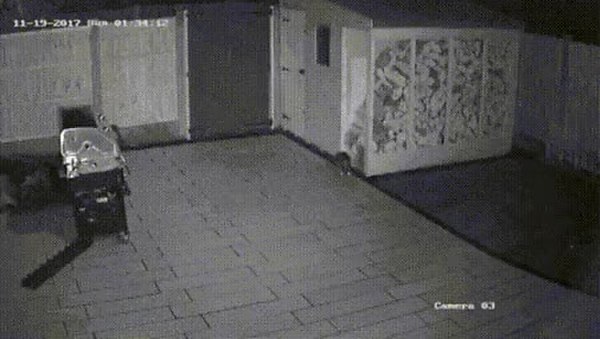 GIF Preview