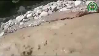 GIF Preview