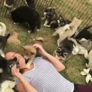 GIF Preview