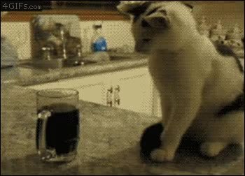 GIF Preview