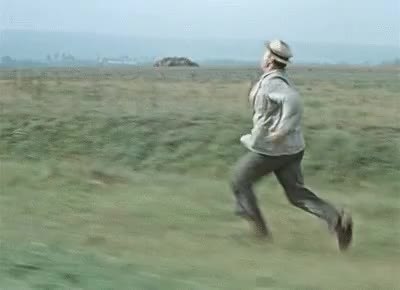 GIF Preview