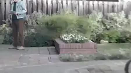 GIF Preview