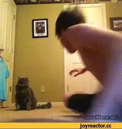 GIF Preview