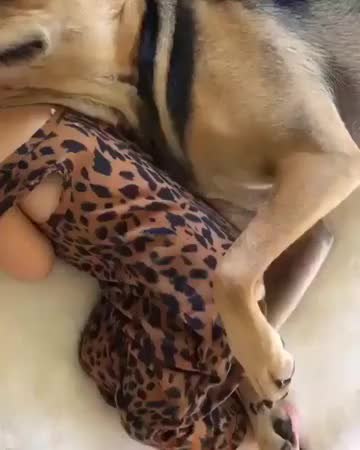 GIF Preview