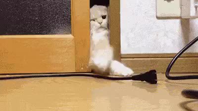GIF Preview