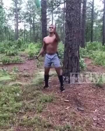 GIF Preview