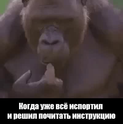 GIF Preview