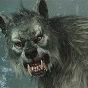 GIF Preview