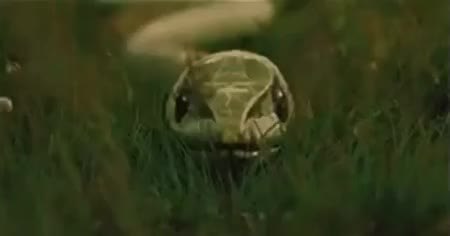 GIF Preview