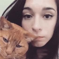 GIF Preview