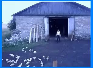 GIF Preview
