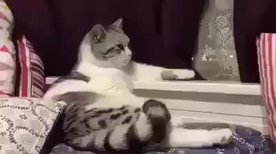 GIF Preview