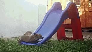 GIF Preview