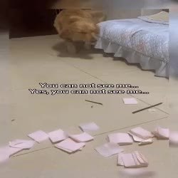GIF Preview
