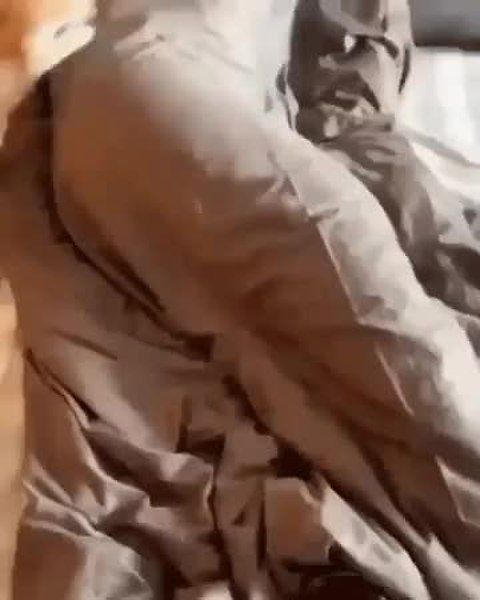 GIF Preview