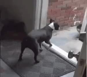GIF Preview