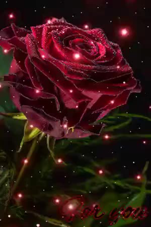 GIF Preview