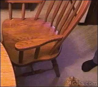 GIF Preview