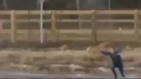 GIF Preview