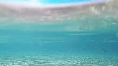 GIF Preview