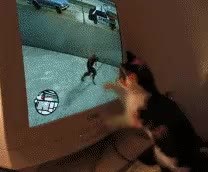 GIF Preview
