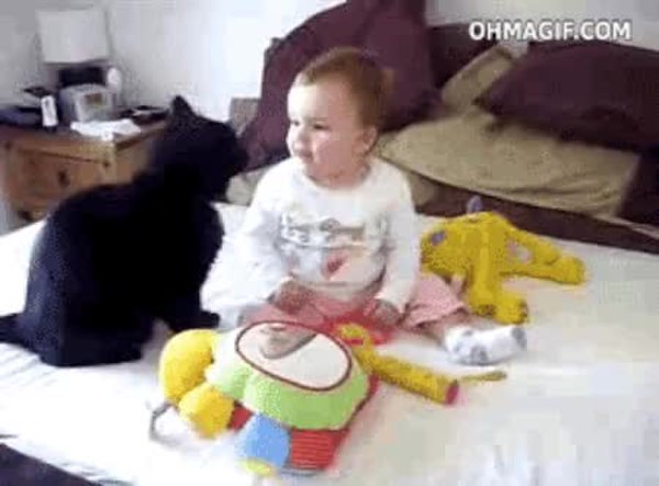 GIF Preview